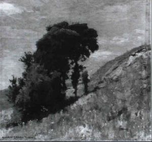 Eichen An Der Kiesgrube