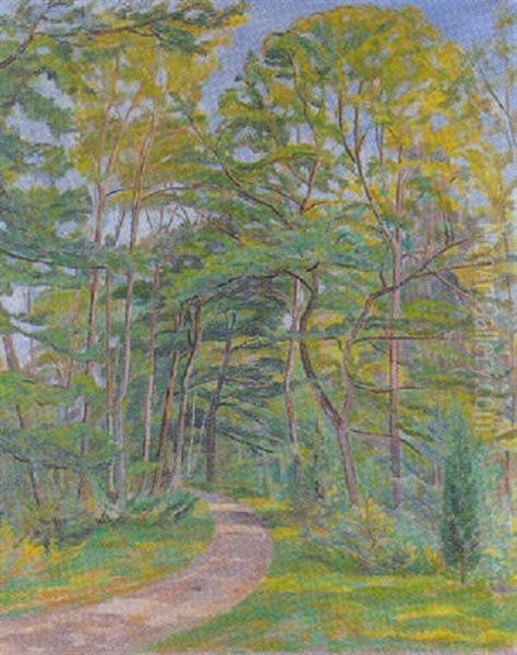Waldweg - view 1