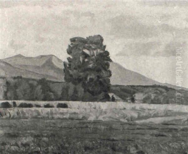 Landschaft - view 1