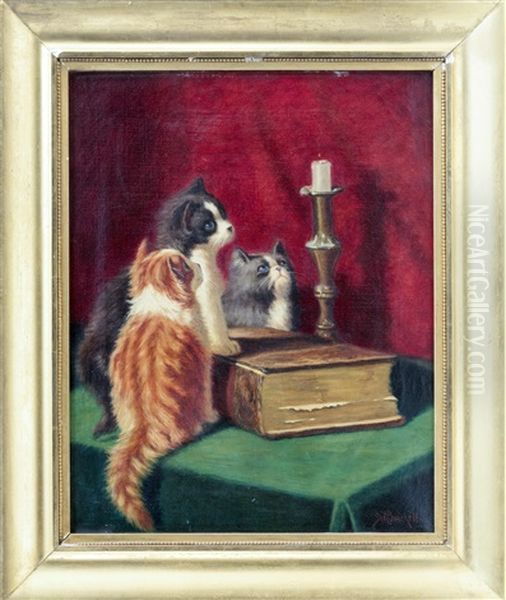 Kittens Eyeing A Burning Candle - view 1