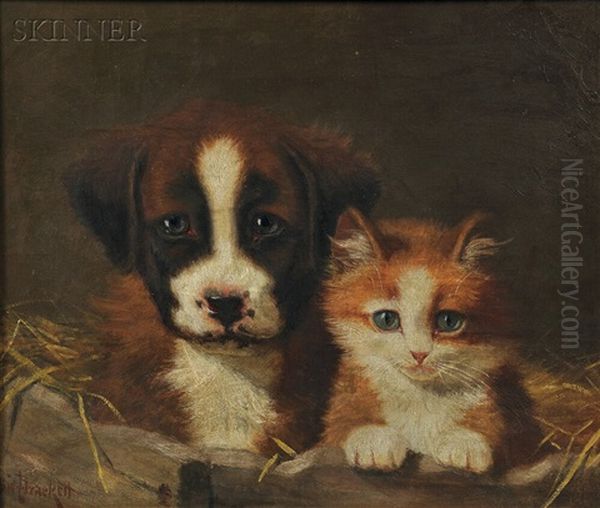 Kitten And Puppy In A Manger - view 1
