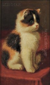 Calico Kitten by Sidney Lawrence Brackett