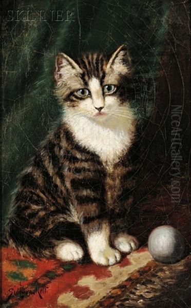 Portrait Of A Tiger Kitten - view 1