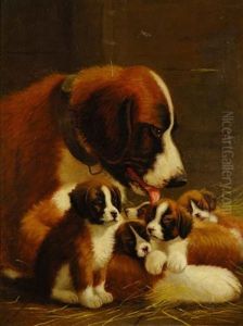 Tender Loving Care - A Mother Saint Bernard And Her Pups