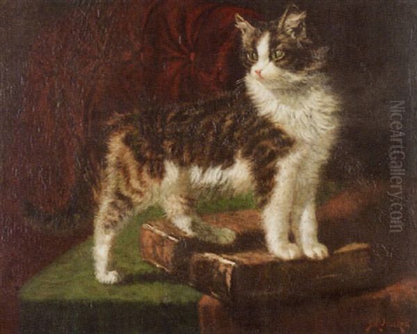 Portrait Of A Tabby Perched On A Leather-bound Volume - view 1
