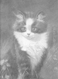 Portrait Of A Cat In Clover Portrait Of A Cat In Clover
