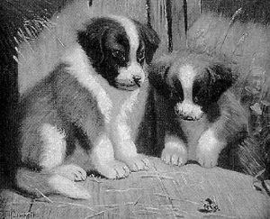 Puppies by Sidney Lawrence Brackett