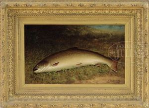 The Big Catch The Big Catch