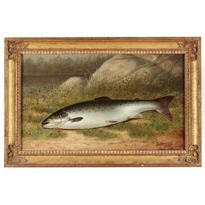 The Trophy Trout