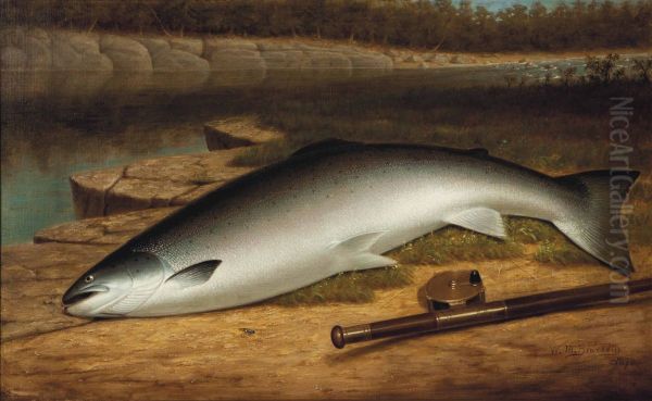 The Big Catch, A Salmon On A River Bank - view 1
