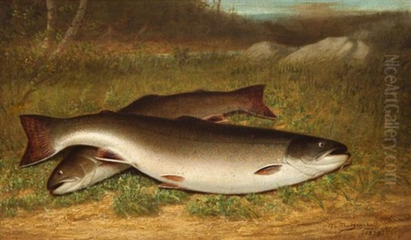 Trout - view 1