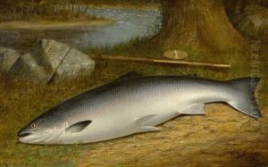 The Successful Catch by Walter M. Brackett
