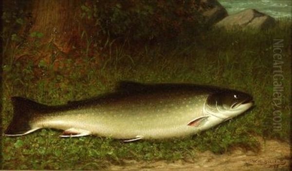 Still Life With Trout - view 1