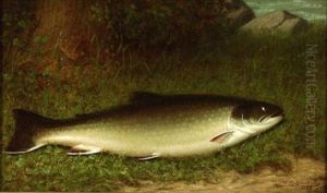 Still Life With Trout by Walter M. Brackett