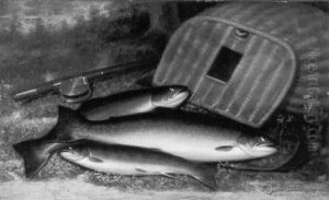 Fishing Still Life Fishing Still Life
