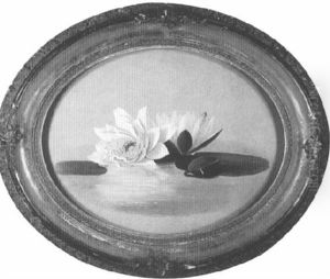Water Lily by Gibeon Elden Bradbury