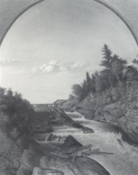 Logging On The Saco - view 1