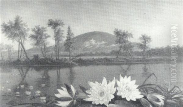Mount Tom On The Saco - view 1