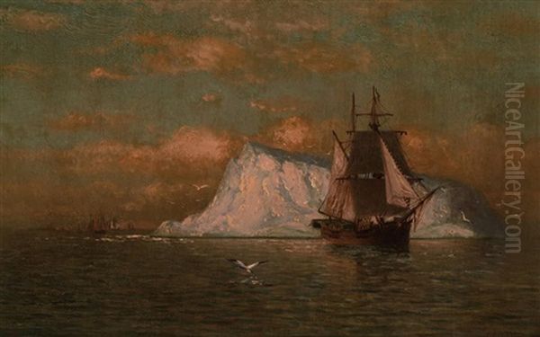 Ship Off The Coast Of Labrador - view 1