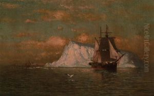 Ship Off The Coast Of Labrador