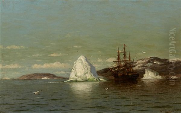 The Ship Panther At Anchor - view 1