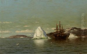 The Ship Panther At Anchor
