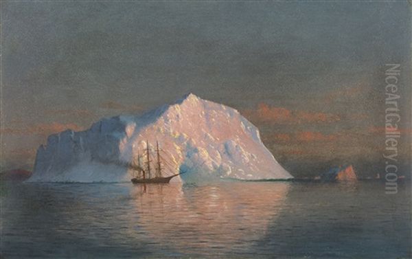 Icebergs, Labrador - view 1