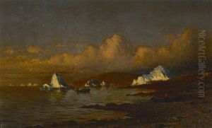Morning's Silver Light (coast Of Labrador) Morning's Silver Light (coast Of Labrador)