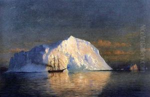 Icebergs, Labrador