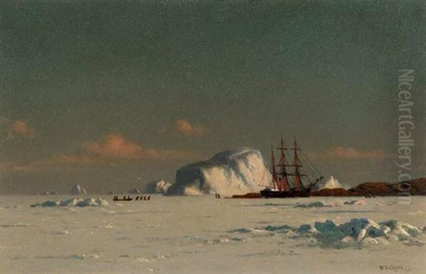 In The Artic - view 1