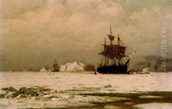Icebound Whaler - view 1