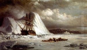 Icebound Ship
