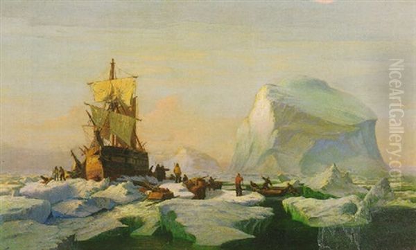 Trapped In The Ice - view 1