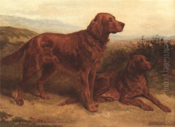 Irish Setters "tyrone" And "geraldine" (champions) In A Landscape - view 1