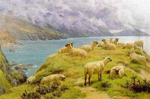Sheep Reposing, Dalby Bay, Isle Of Man