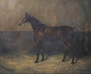 Lord John - Horse In A Loose Box