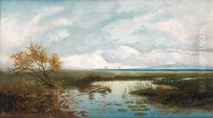 Waters On The Plain Waters On The Plain