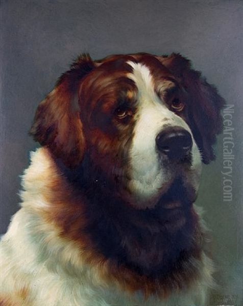 Portrait Of A St. Bernard - view 1