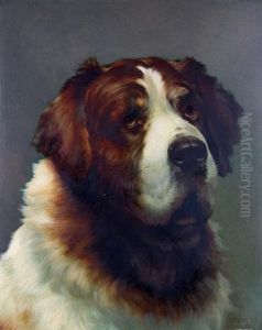 Portrait Of A St. Bernard