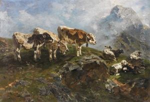 Kalber Und Schafe Im Hochgebirge