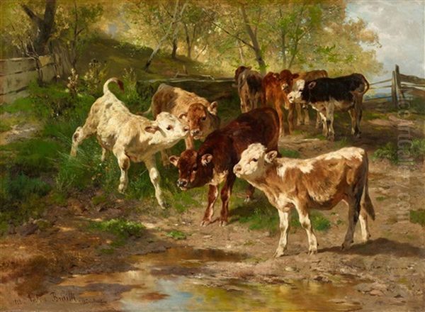 Young Cattle Grazing - view 1