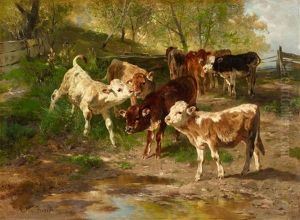 Young Cattle Grazing Young Cattle Grazing