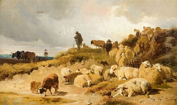 Tierherde Auf Einer Anhohe - view 1