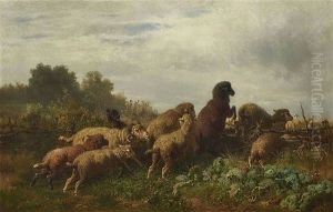 Schafe Im Krautacker by Anton Braith