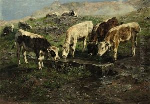 Kuhe, Schafe Und Ziegen Auf Der Almweide