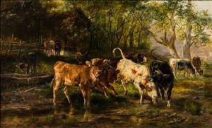 Cows Cows