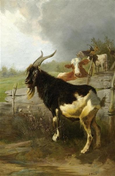 Kuhe Und Ziegen In Einer Landschaft - view 1