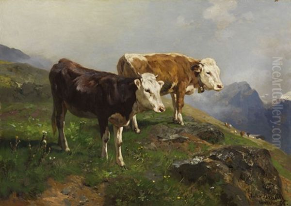 Zwei Jungbullen Auf Der Alm - view 1