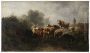 Driving Cattle In The Morning Driving Cattle In The Morning