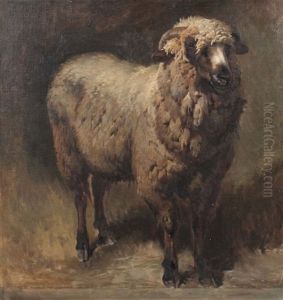 Stehender Schafbock